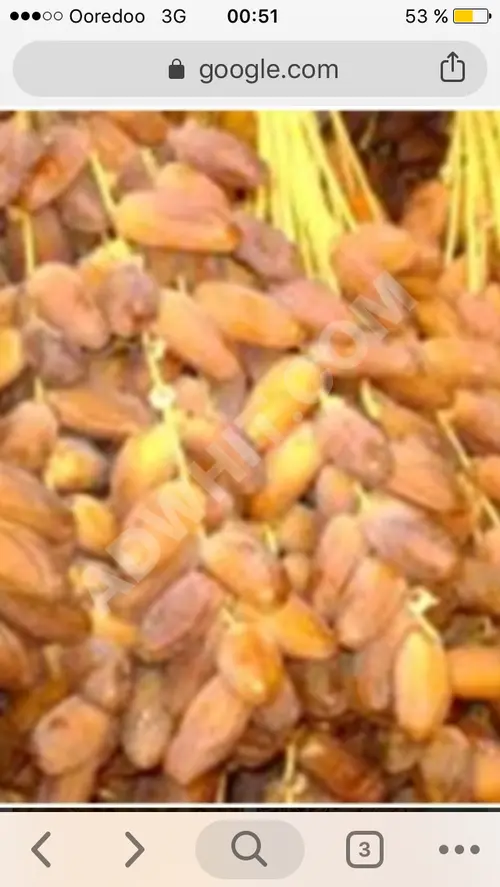 Kaliteli Cezayir hurması