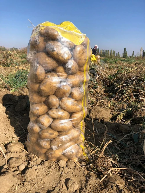Bizde Agria patates ve Özbekistan soğanı mevcut. Türkiye'de ve tüm ülkelere ihracat yapıyoruz