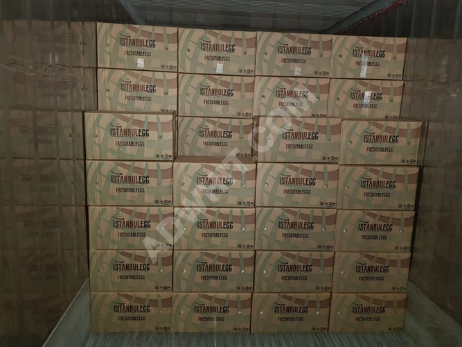 Türk yumurta haftalık ihracat