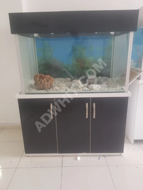 Satılık dolaplı akvaryum 