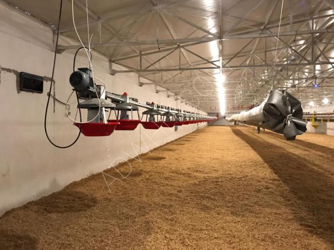 مزرعة دواجن حديثة بنظام تحكم الي 30000 م جديدة بكامل التجهيزات للبيع