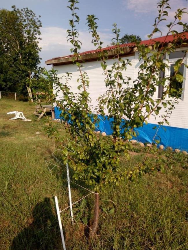 مزرعة للبيع في Kırklareli / Lüleburgaz