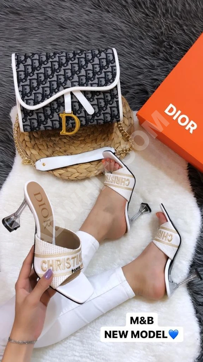 طقم حذاء مع حقيبة نسائية