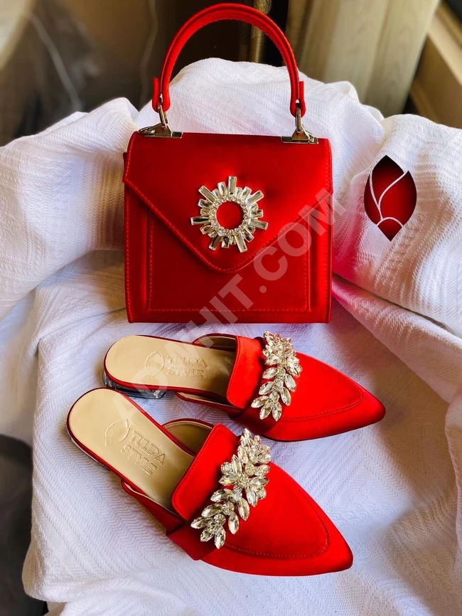 طقم نسائي حذاء مع حقيبة 