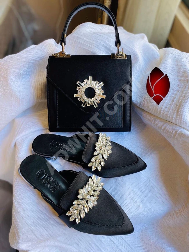 طقم نسائي حذاء مع حقيبة 