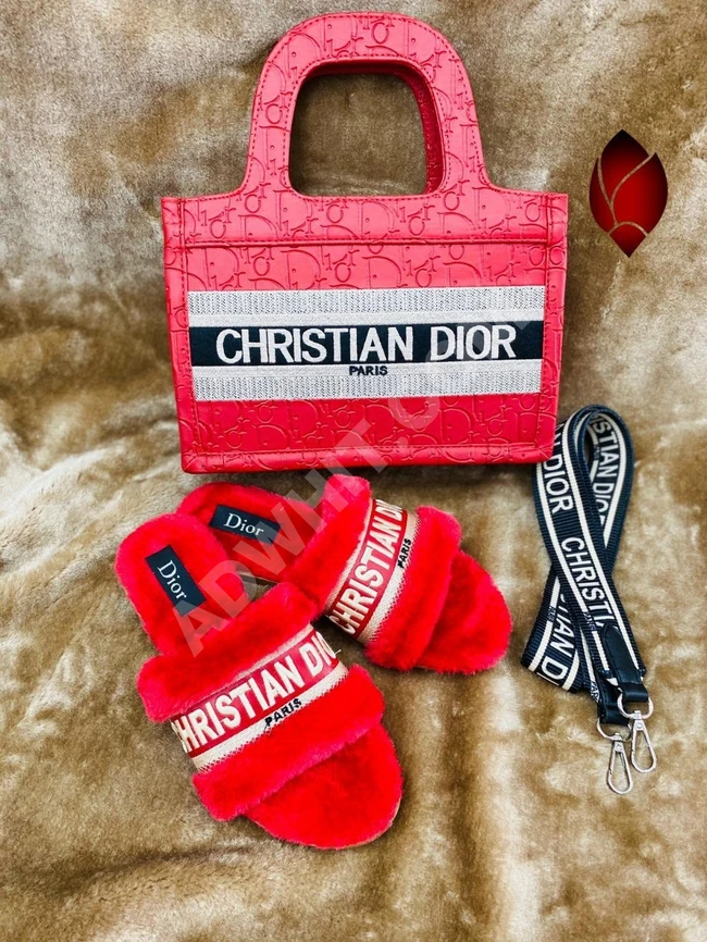 طقم حذاء نسائي مع حقيبة 