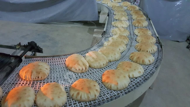 خط إنتاج الخبز  العربي ثلاثي التقطيع          Arabic_bread production lines  