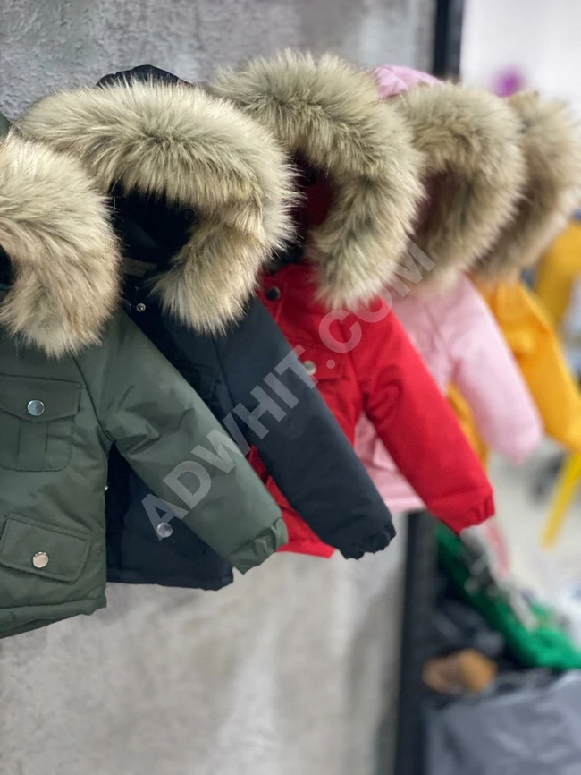 جاكيت ولادي