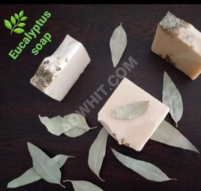 صابون طبيعي - صابونة أوكاليبتوس " الكافور أو ألكينا ".