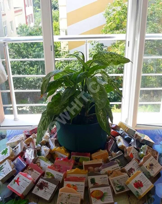 صابون طبيعي منتج بشكل يدوي بحت / تركيا.