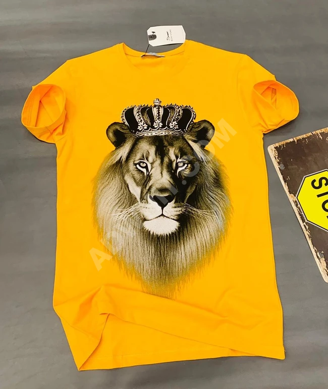 تيشرتات رجالية صيفي 