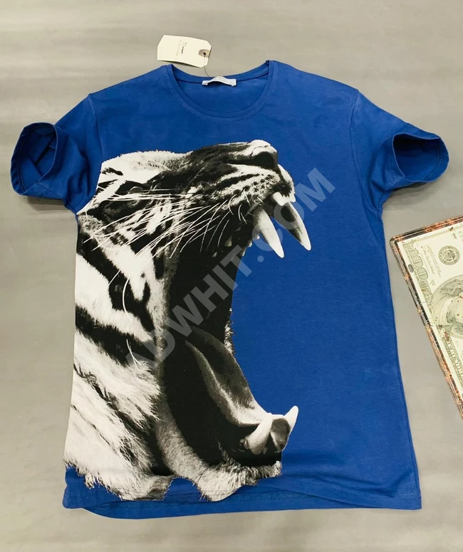 تيشرت رجالي صيفي بألوان متعددة