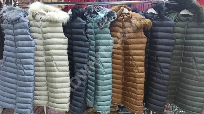 جاكيت نسائي 