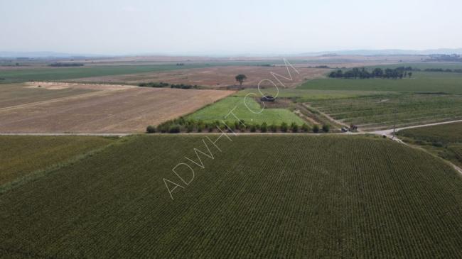 ارض استثمارية زراعية في بورصة Agricultural investment land in Bursa for sale