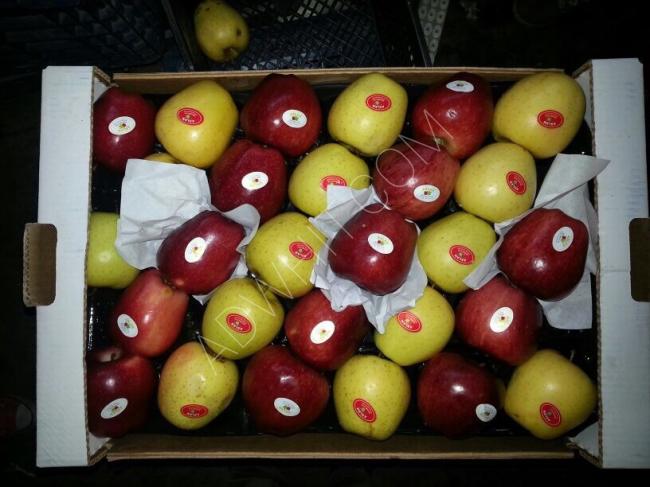 تفاح تركي محصول جديد باسعار جملة ممتازة 