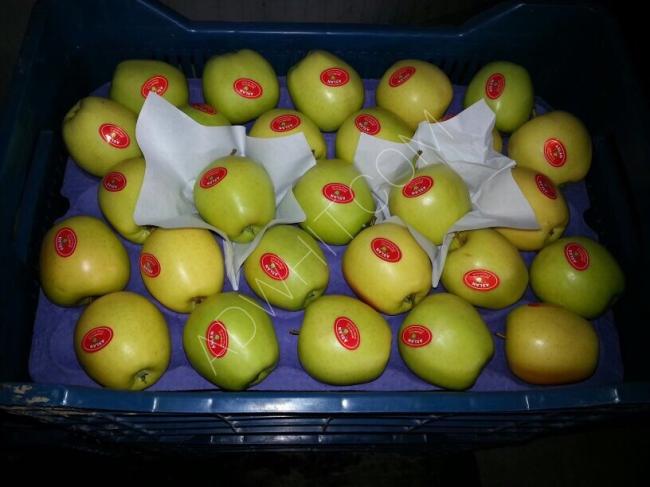Yeni mahsul Türk elması, mükemmel toptan fiyatlarla