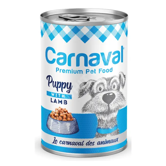  cats and dogs food