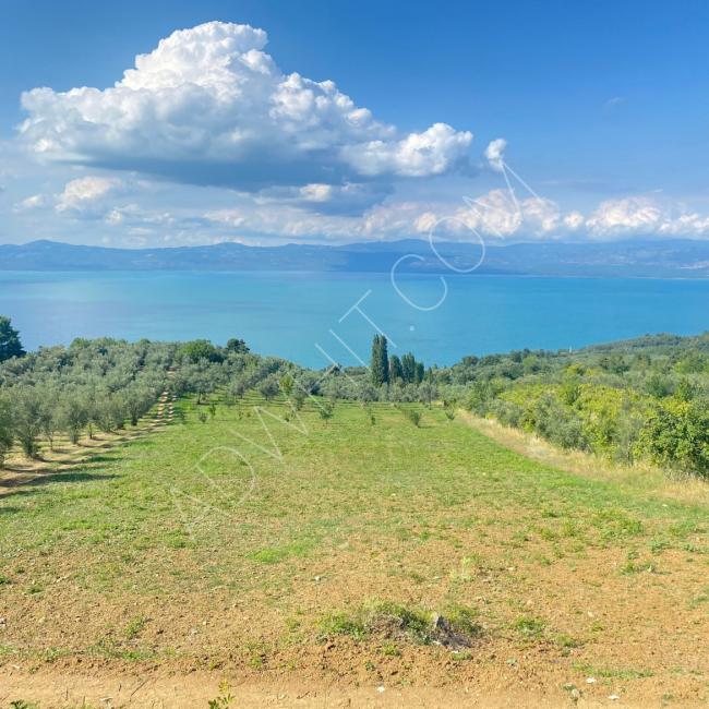 Agricultural land for sale with an amazing view