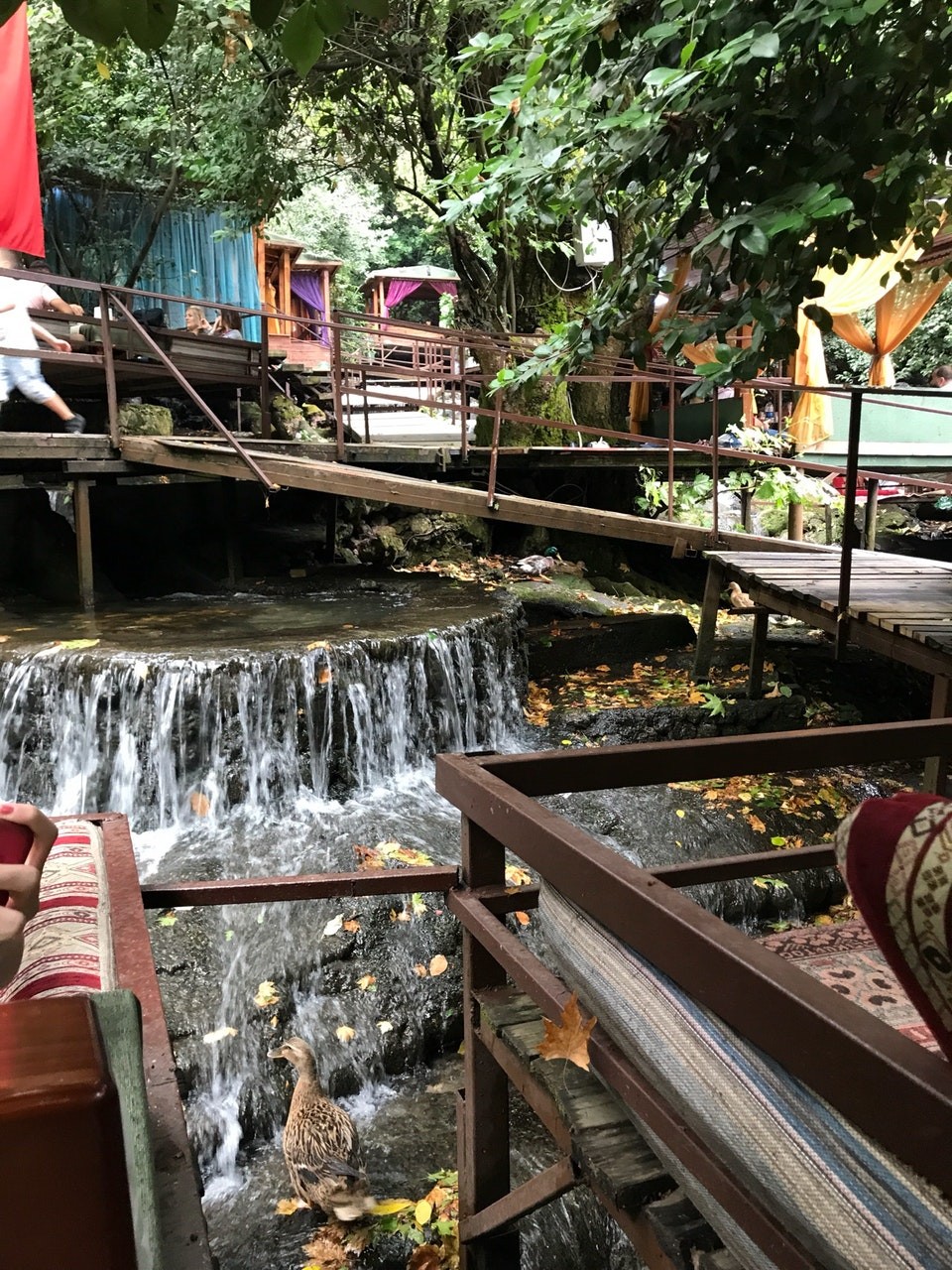 рестораны у водопада